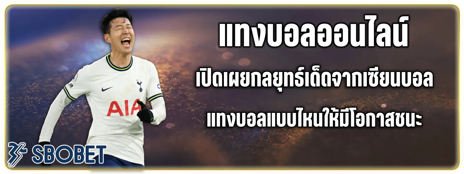 แทงบอล369